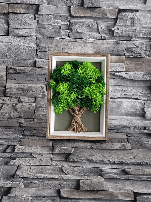 Moss Tree / Green Moss /