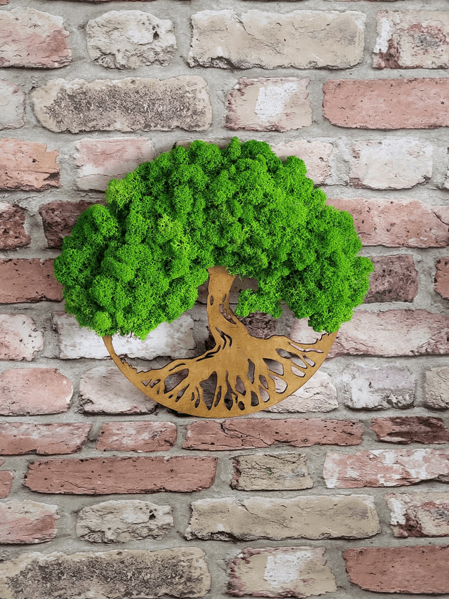 Oval Moss Tree / Small /